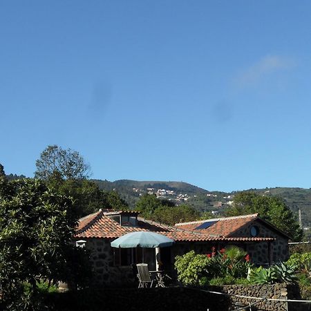 Finca Cueva Del Viento 伊科德·德·洛斯·维诺斯 客房 照片