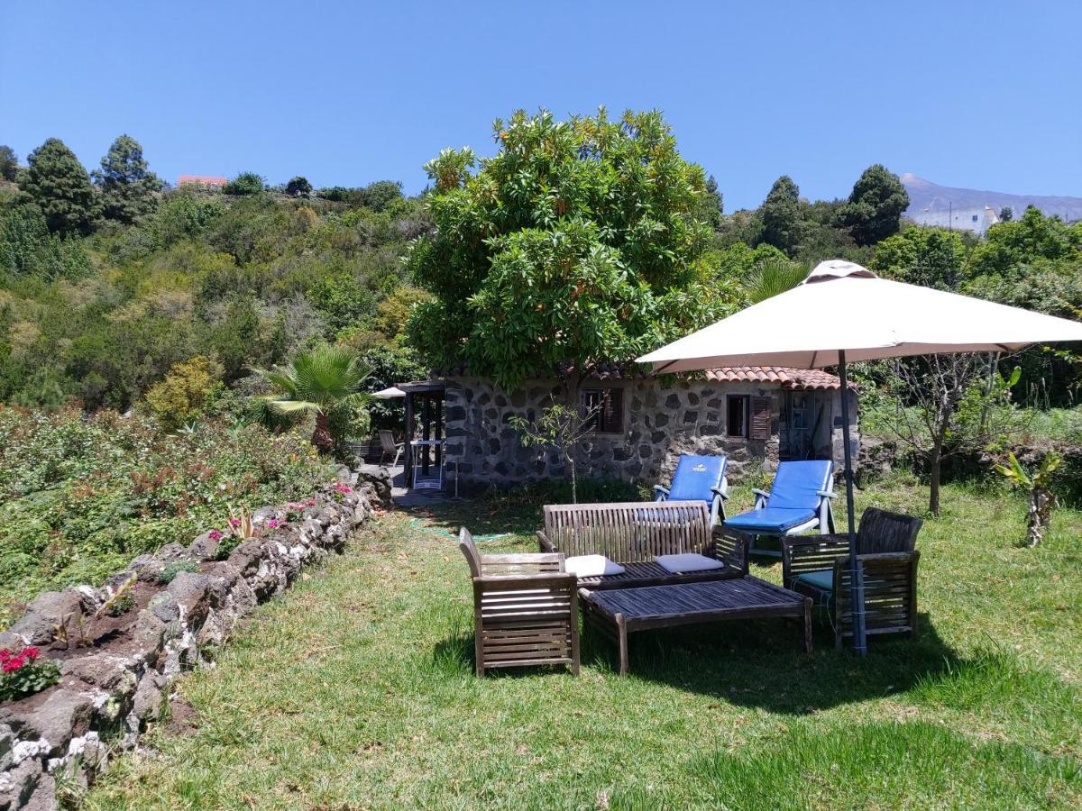 Finca Cueva Del Viento 伊科德·德·洛斯·维诺斯 外观 照片