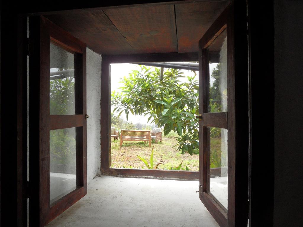 Finca Cueva Del Viento 伊科德·德·洛斯·维诺斯 客房 照片
