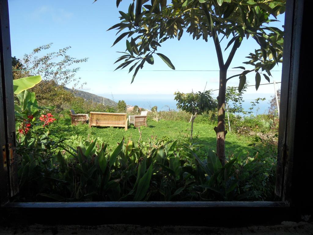 Finca Cueva Del Viento 伊科德·德·洛斯·维诺斯 客房 照片