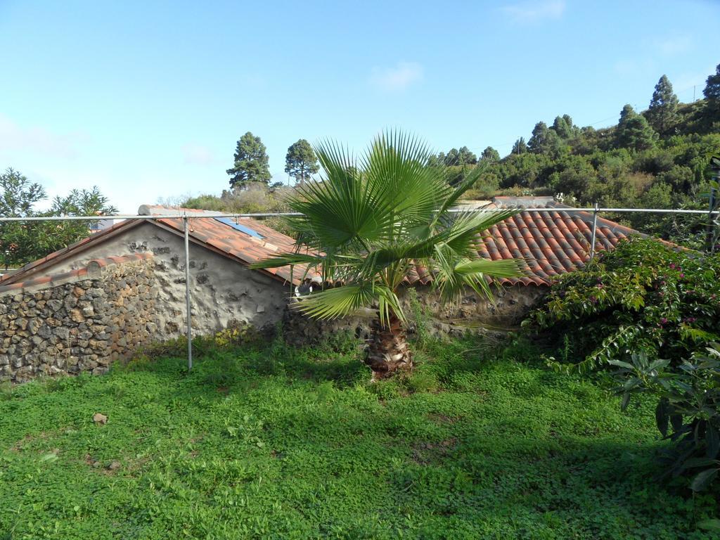Finca Cueva Del Viento 伊科德·德·洛斯·维诺斯 客房 照片