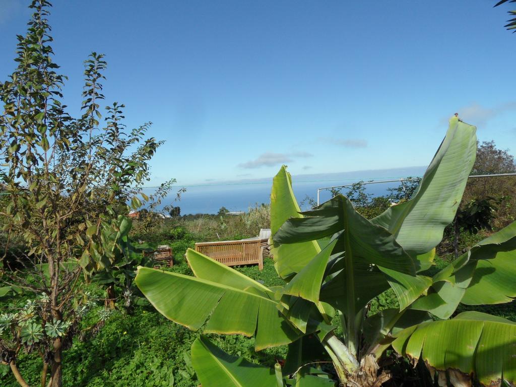 Finca Cueva Del Viento 伊科德·德·洛斯·维诺斯 客房 照片