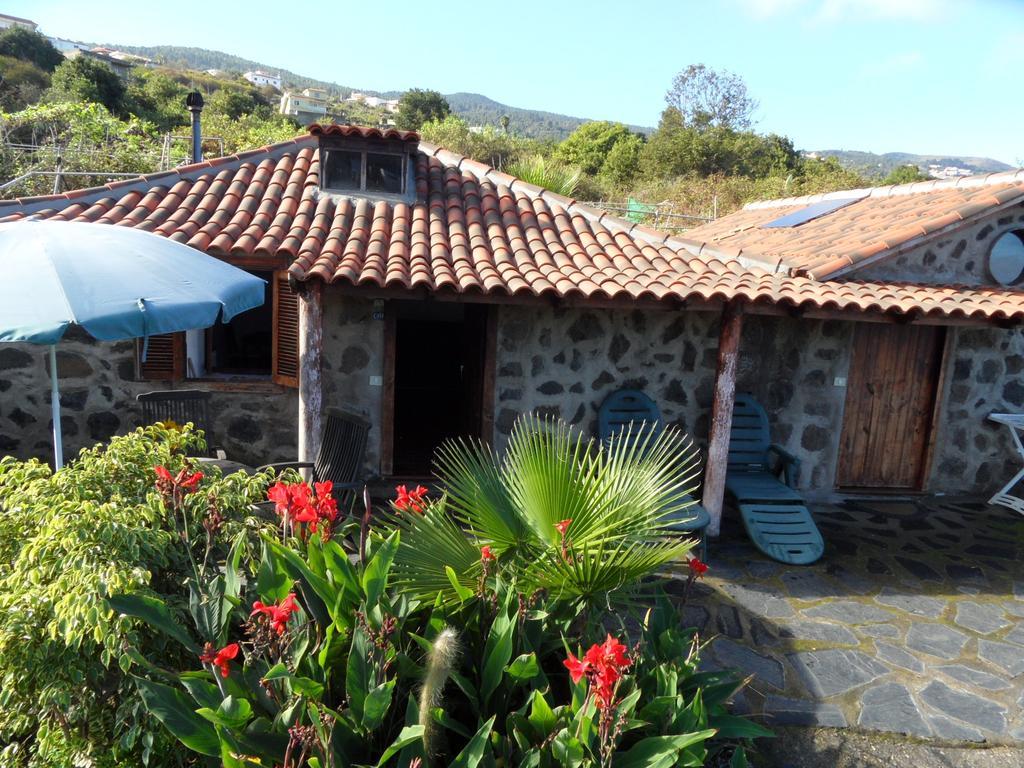 Finca Cueva Del Viento 伊科德·德·洛斯·维诺斯 客房 照片
