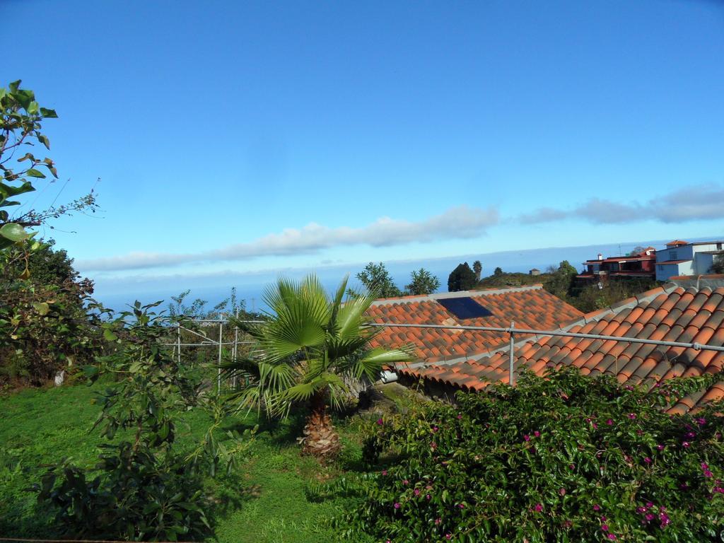 Finca Cueva Del Viento 伊科德·德·洛斯·维诺斯 客房 照片