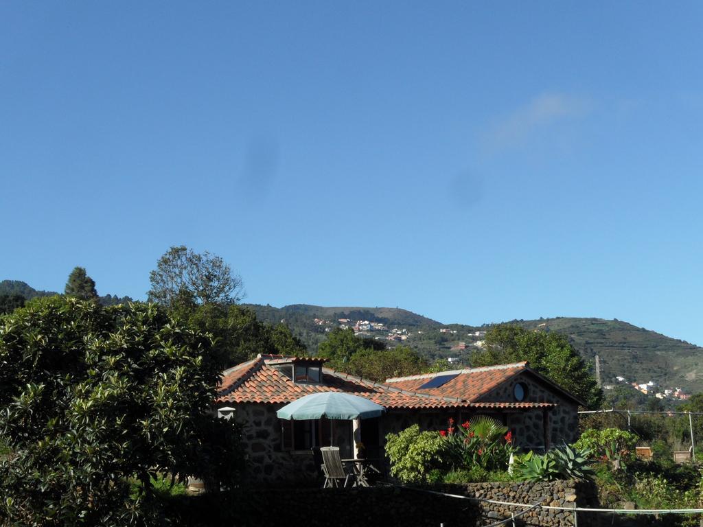 Finca Cueva Del Viento 伊科德·德·洛斯·维诺斯 客房 照片