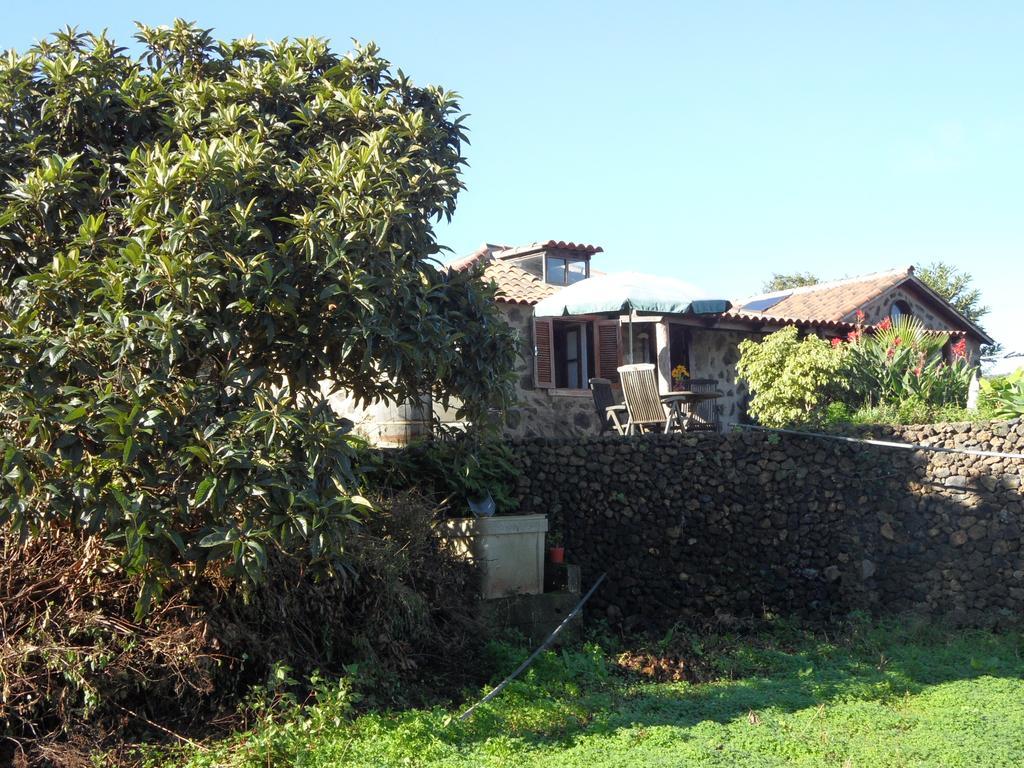 Finca Cueva Del Viento 伊科德·德·洛斯·维诺斯 客房 照片